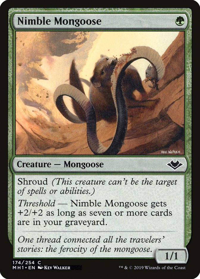 Nimble Mongoose [Modern Horizons] | GrognardGamesBatavia