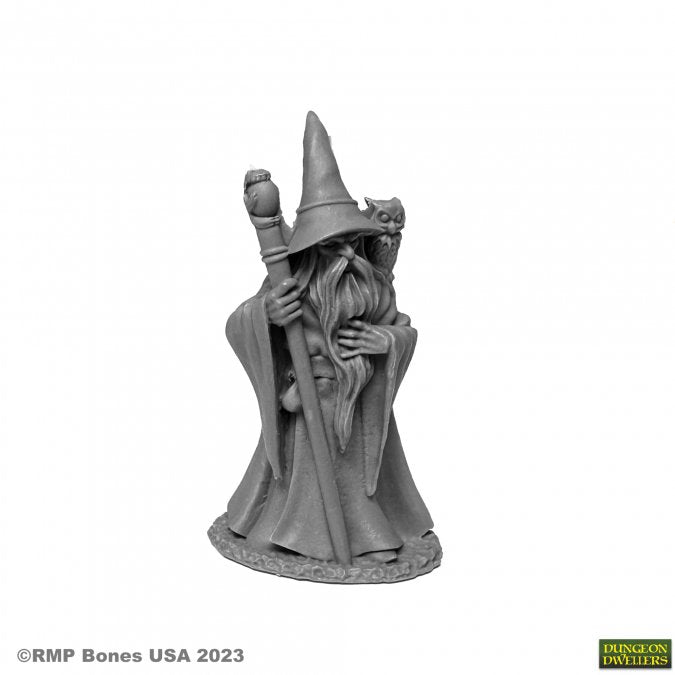 Reaper Bones 07077 - Anuminar Winterbeard, Wizard | GrognardGamesBatavia