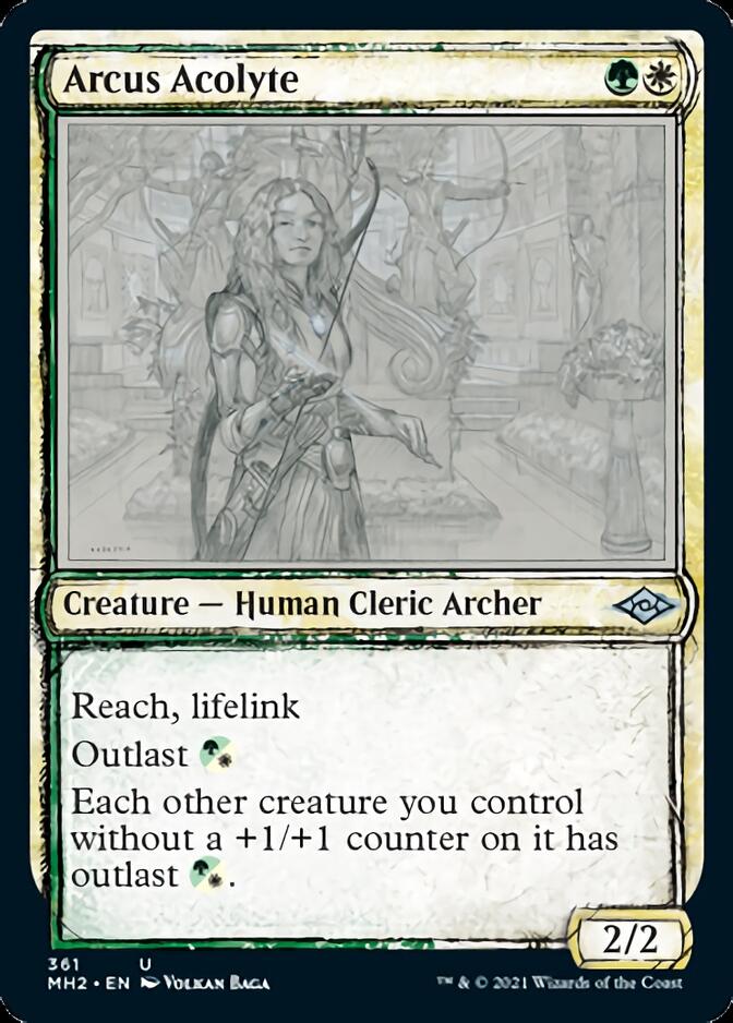 Arcus Acolyte (Sketch) [Modern Horizons 2] | GrognardGamesBatavia