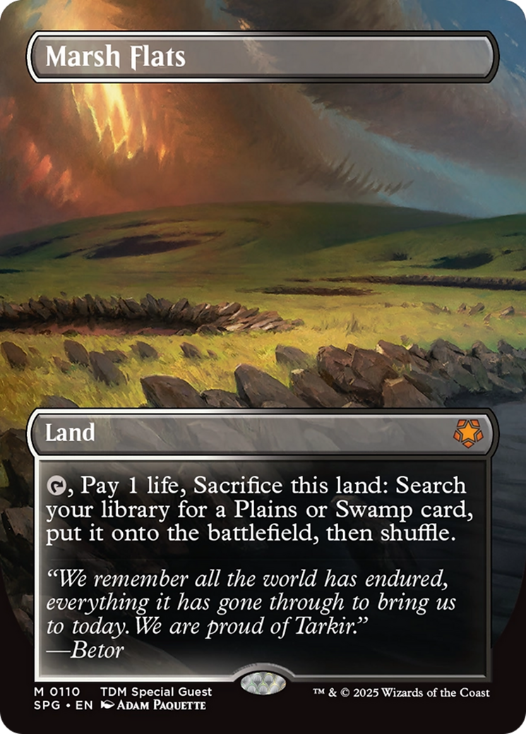 Marsh Flats (Borderless) [Tarkir: Dragonstorm Special Guests] | GrognardGamesBatavia