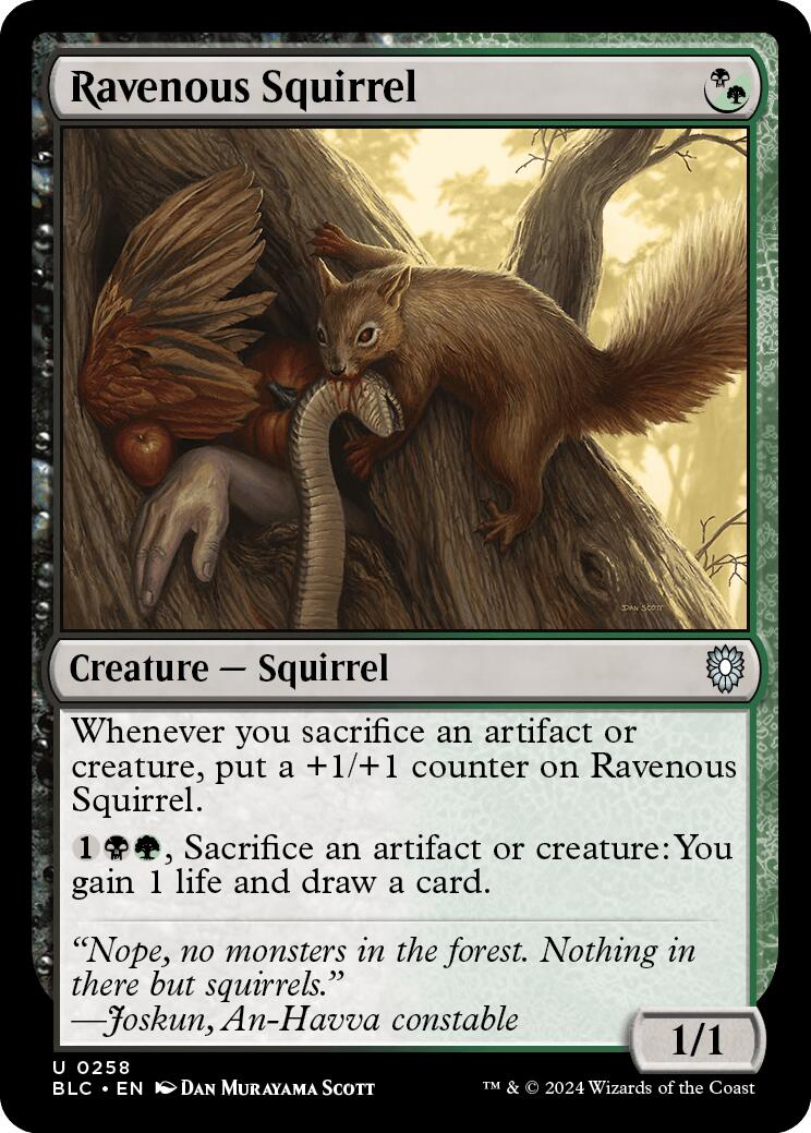 Ravenous Squirrel [Bloomburrow Commander] | GrognardGamesBatavia