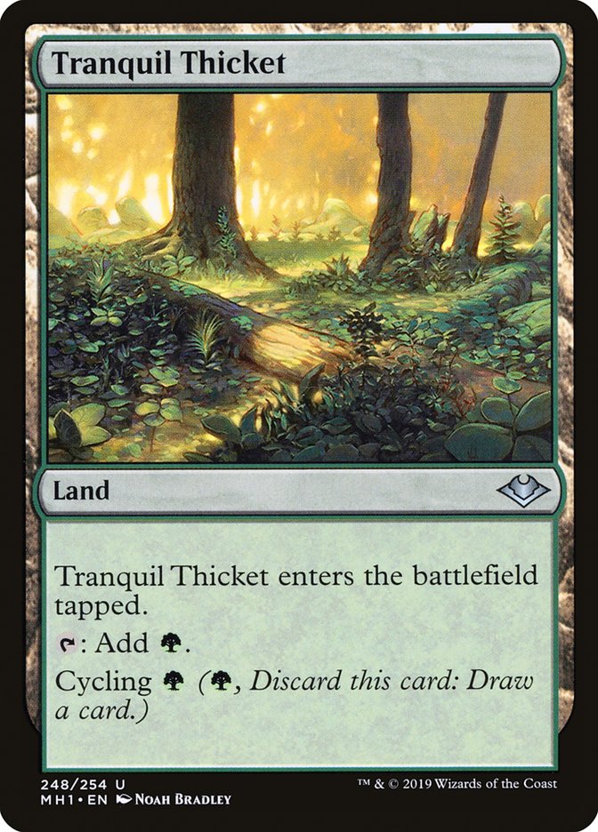 Tranquil Thicket [Modern Horizons] | GrognardGamesBatavia