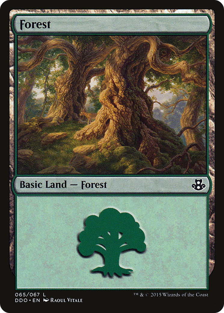 Forest (65) [Duel Decks: Elspeth vs. Kiora] | GrognardGamesBatavia