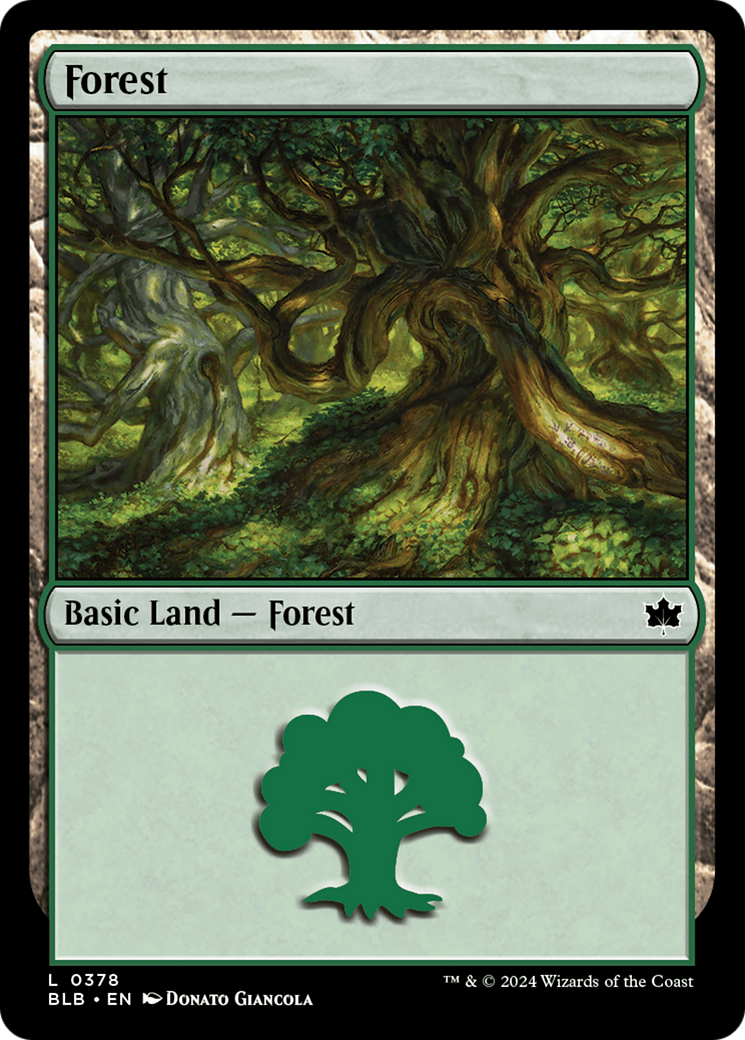 Forest (0378) [Bloomburrow] | GrognardGamesBatavia