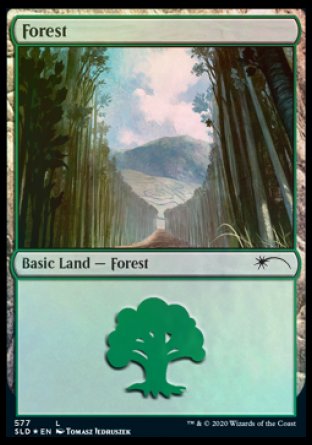 Forest (Walls) (577) [Secret Lair Drop Promos] | GrognardGamesBatavia