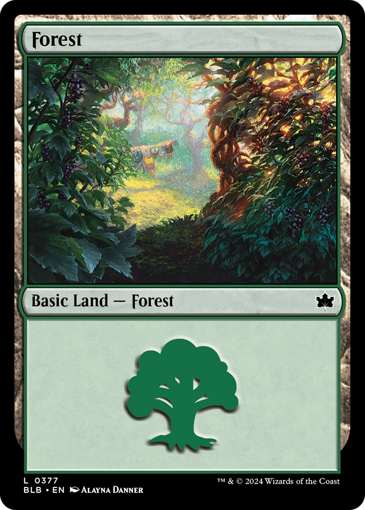 Forest (0377) [Bloomburrow] | GrognardGamesBatavia