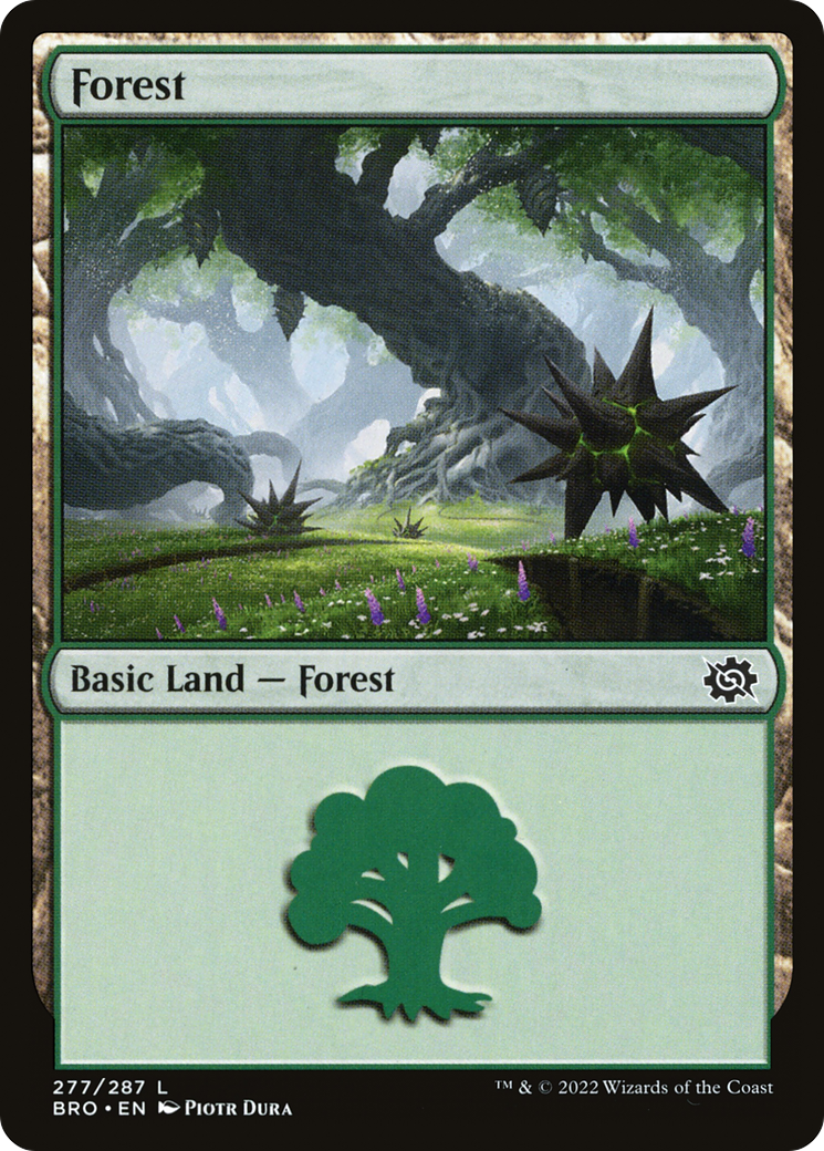 Forest (277) [The Brothers' War] | GrognardGamesBatavia