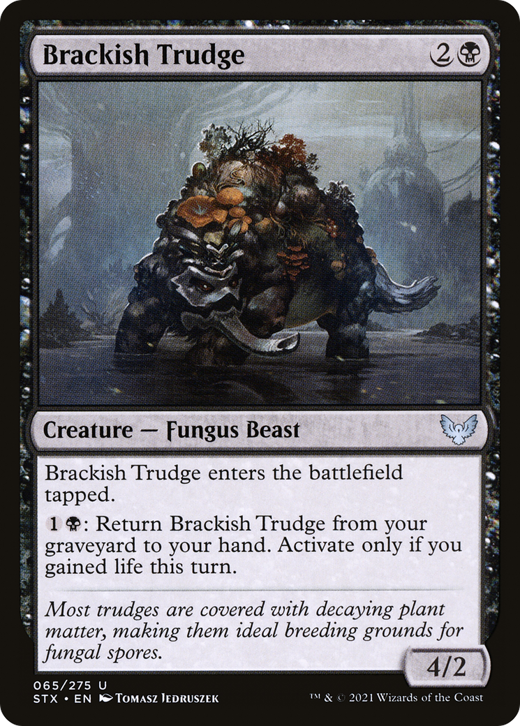 Brackish Trudge [Strixhaven: School of Mages] | GrognardGamesBatavia