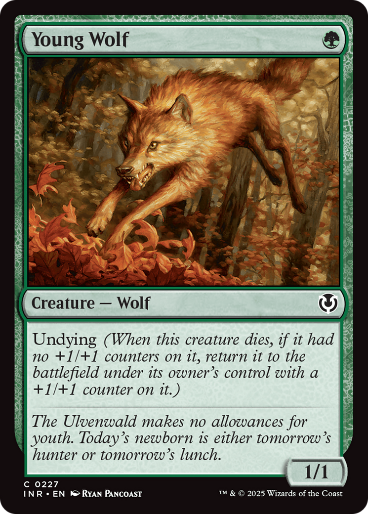 Young Wolf [Innistrad Remastered] | GrognardGamesBatavia