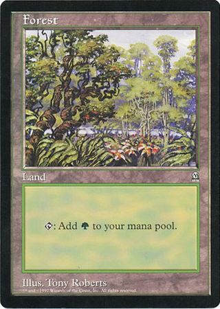 Forest (Oversized) [Oversize Cards] | GrognardGamesBatavia