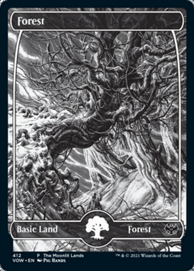 Forest (The Moonlit Lands) (Foil Etched) [Innistrad: Crimson Vow Promos] | GrognardGamesBatavia