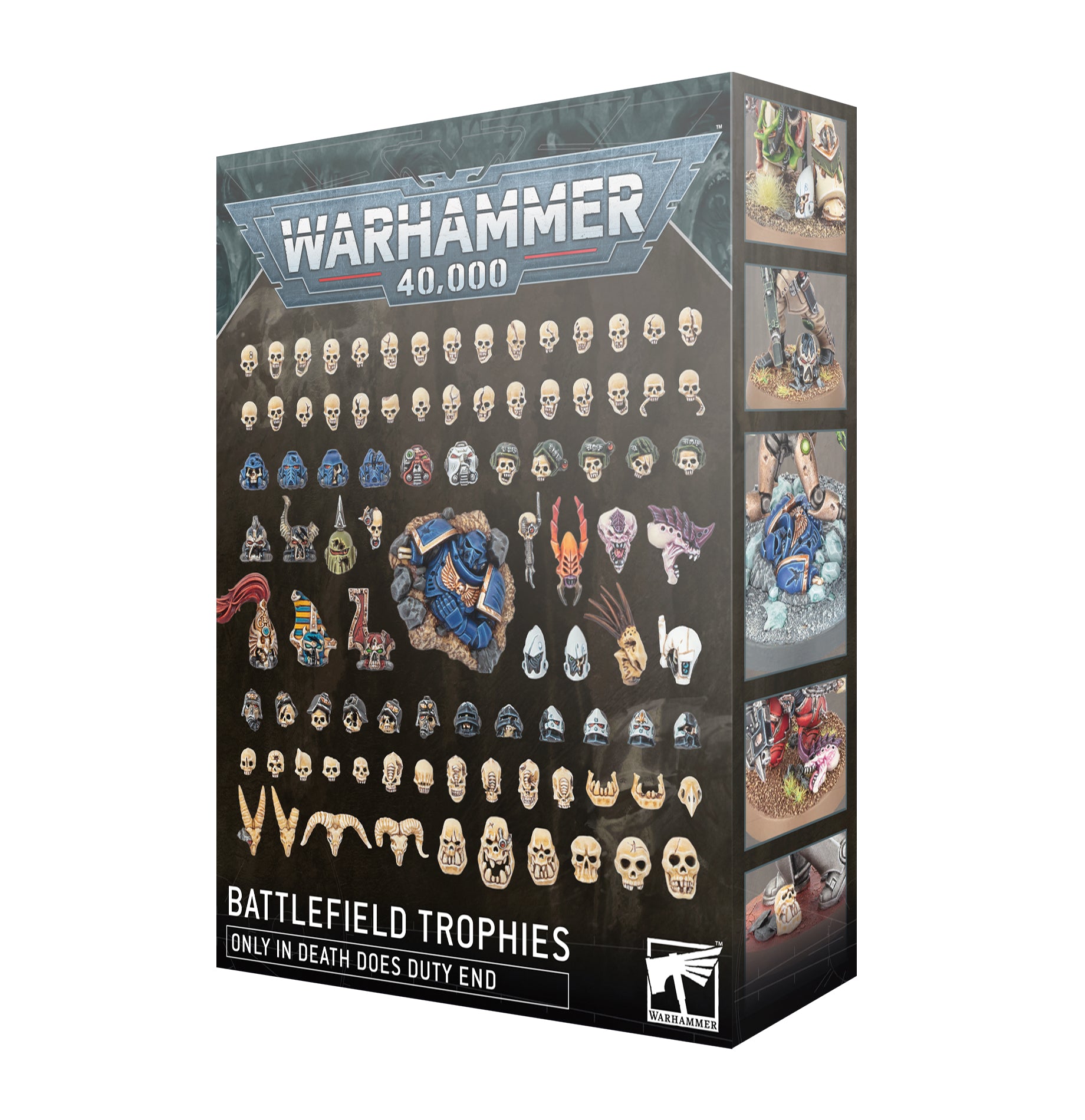 Citadel Battlefield Trophies (Pre-order Available 1/25/2025) | GrognardGamesBatavia