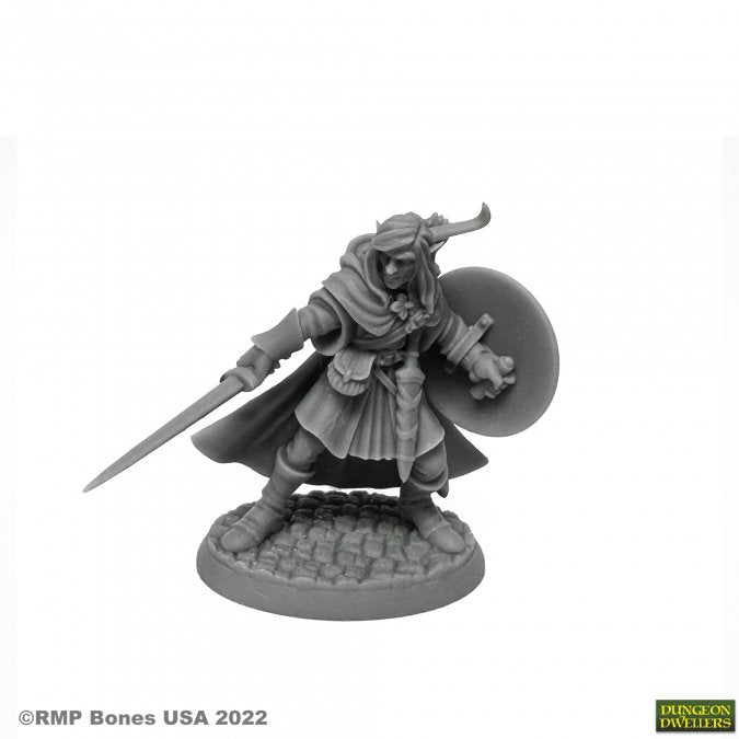 07026 Reaper Bones MELLONIR WINDRUNNER, ELF WARRIOR | GrognardGamesBatavia