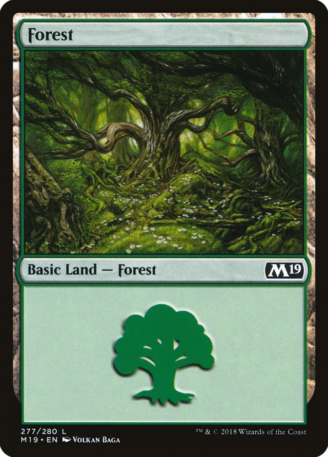 Forest (277) [Core Set 2019] | GrognardGamesBatavia