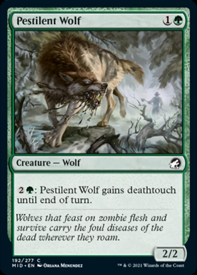 Pestilent Wolf [Innistrad: Midnight Hunt] | GrognardGamesBatavia