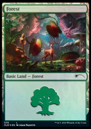 Forest (Predatory) (578) [Secret Lair Drop Promos] | GrognardGamesBatavia