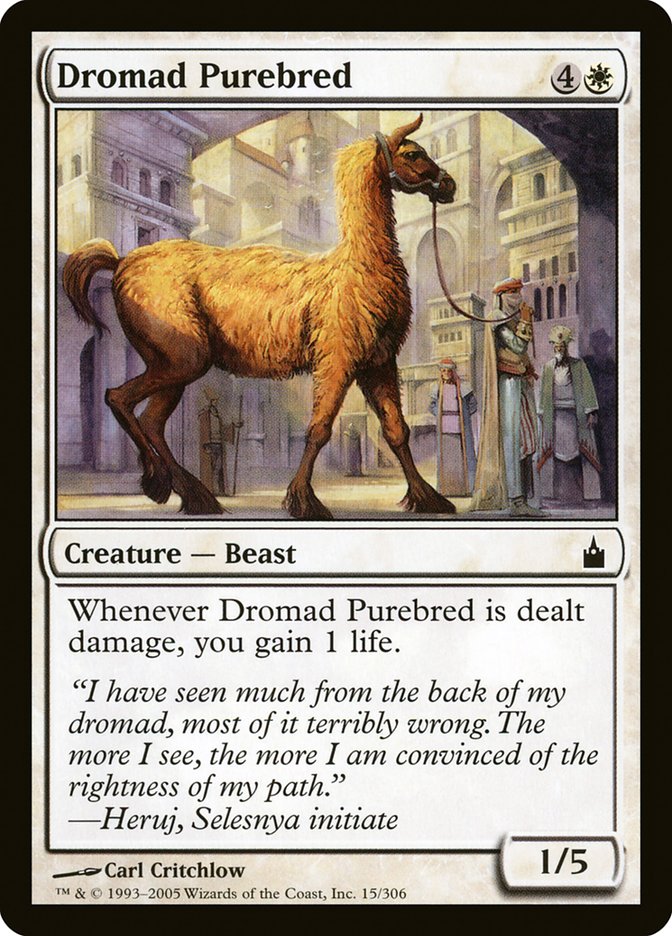 Dromad Purebred [Ravnica: City of Guilds] | GrognardGamesBatavia