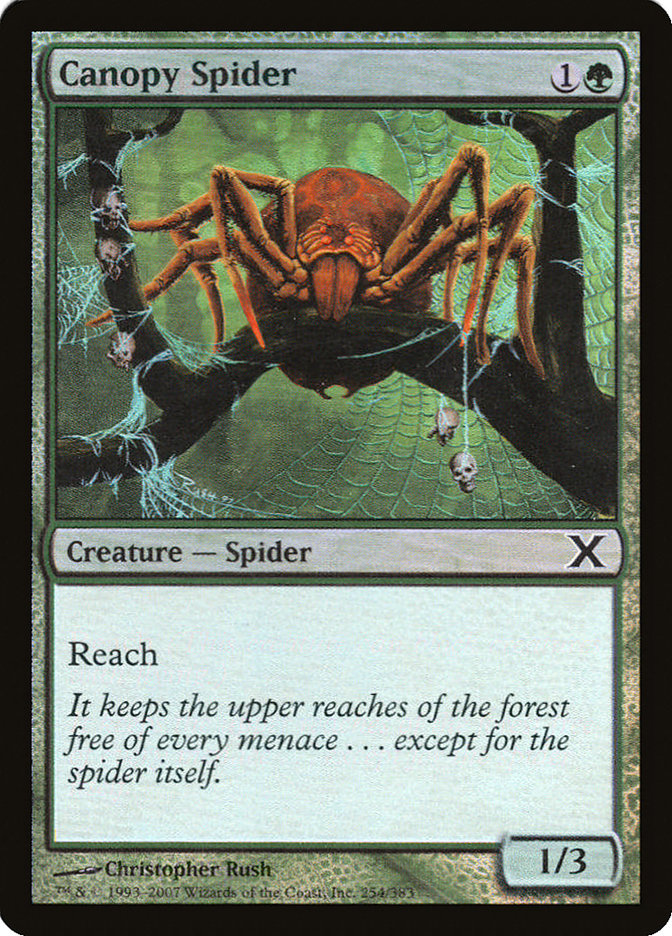 Canopy Spider (Premium Foil) [Tenth Edition] | GrognardGamesBatavia