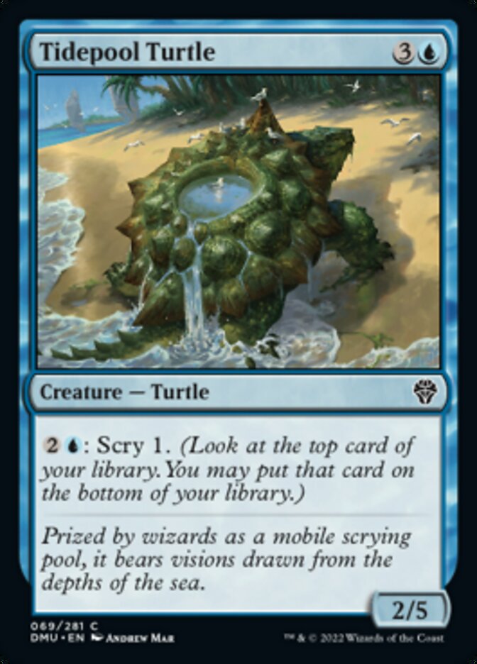 Tidepool Turtle [Dominaria United] | GrognardGamesBatavia