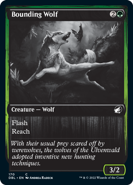 Bounding Wolf [Innistrad: Double Feature] | GrognardGamesBatavia