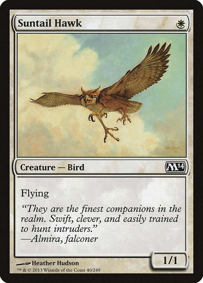 Suntail Hawk [Magic 2014] | GrognardGamesBatavia