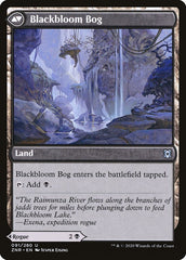 Blackbloom Rogue // Blackbloom Bog [Zendikar Rising] | GrognardGamesBatavia