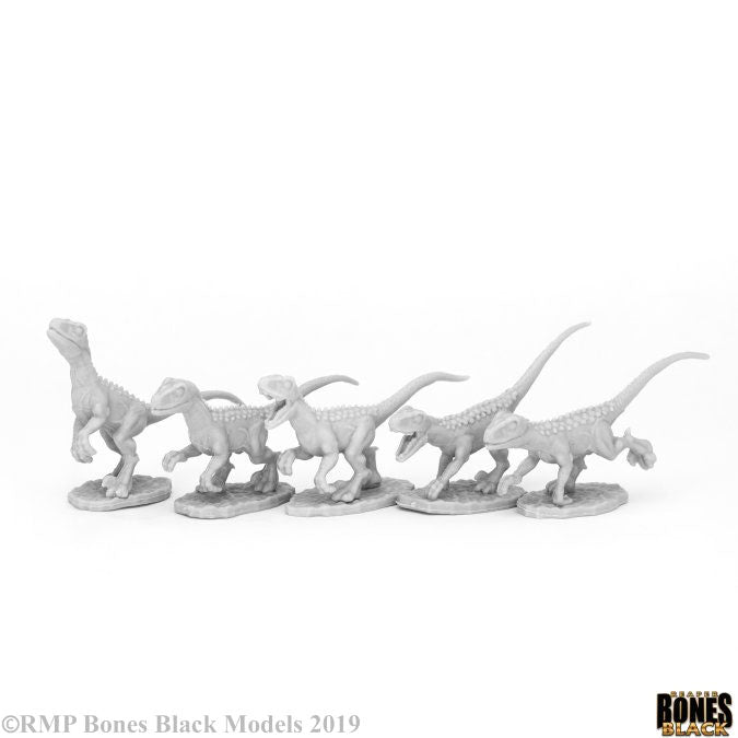 Bones 44081 Raptor Hunting Pack (5) | GrognardGamesBatavia