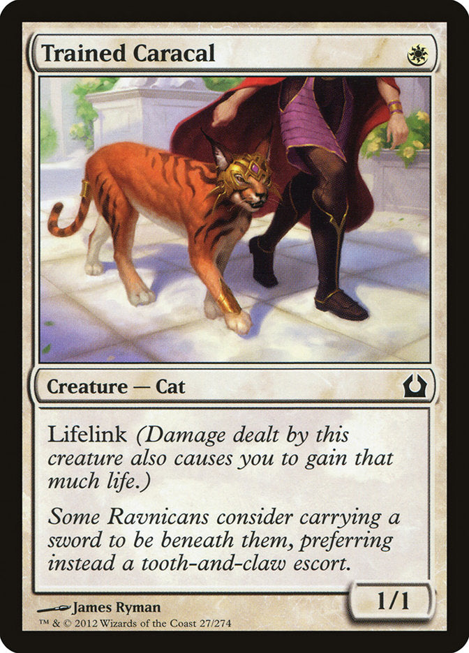 Trained Caracal [Return to Ravnica] | GrognardGamesBatavia