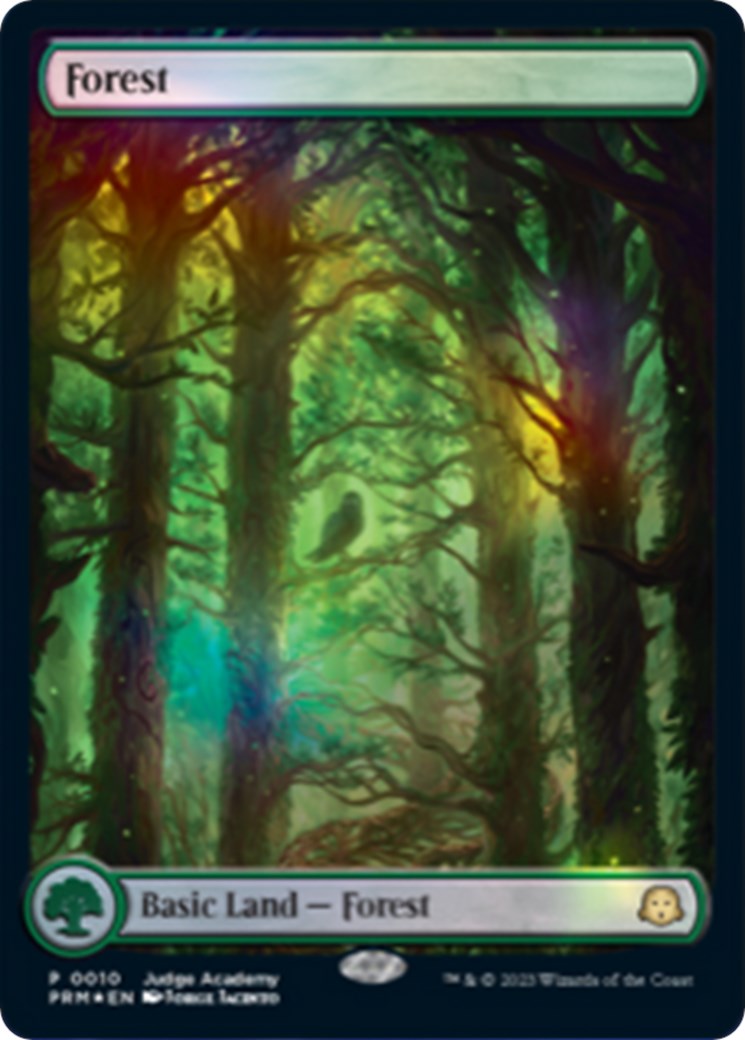 Forest [Judge Gift Cards 2023] | GrognardGamesBatavia