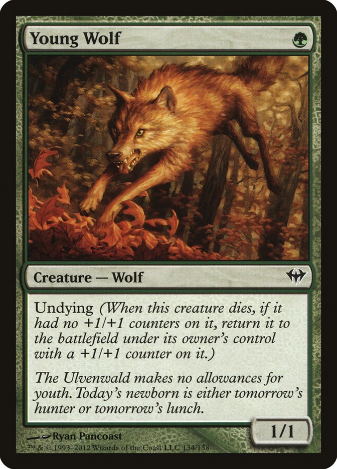 Young Wolf [Dark Ascension] | GrognardGamesBatavia