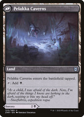 Pelakka Predation // Pelakka Caverns [Zendikar Rising] | GrognardGamesBatavia