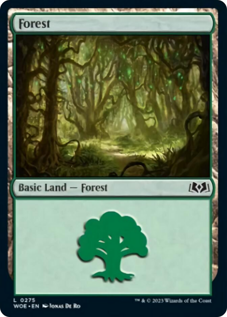 Forest (0275) [Wilds of Eldraine] | GrognardGamesBatavia