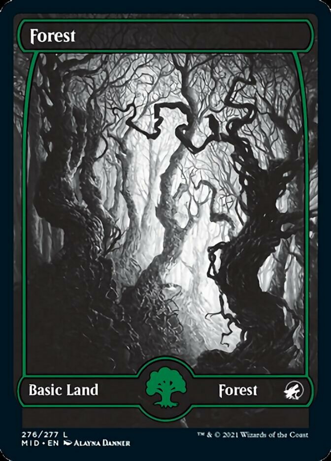 Forest (276) [Innistrad: Midnight Hunt] | GrognardGamesBatavia