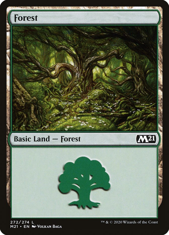 Forest (272) [Core Set 2021] | GrognardGamesBatavia