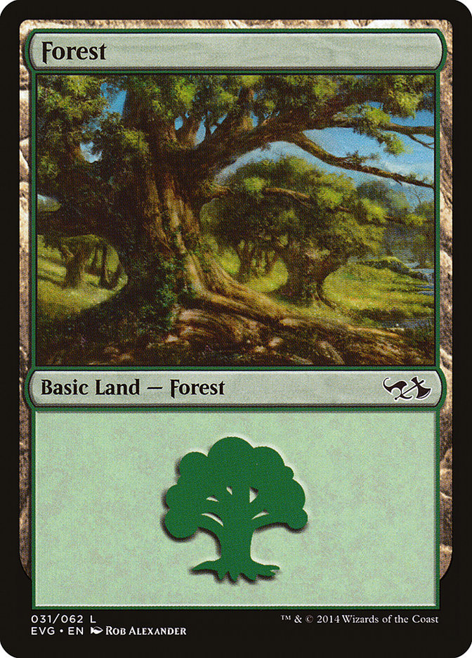 Forest (31) (Elves vs. Goblins) [Duel Decks Anthology] | GrognardGamesBatavia