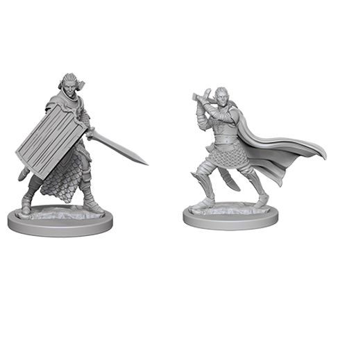 WizKids 726082 Elf Male Paladin | GrognardGamesBatavia