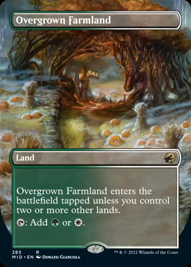 Overgrown Farmland (Borderless Alternate Art) [Innistrad: Midnight Hunt] | GrognardGamesBatavia