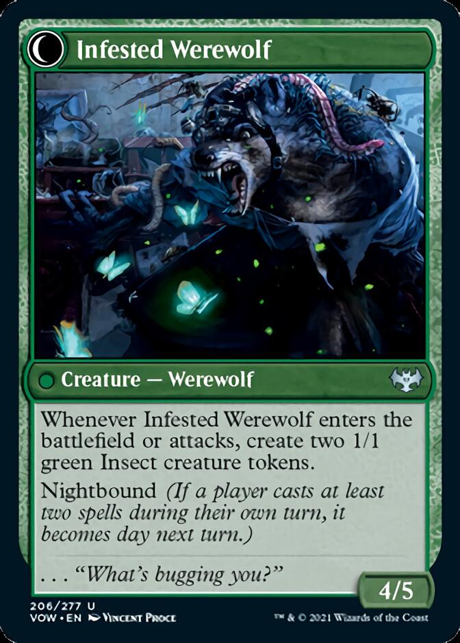 Infestation Expert // Infested Werewolf [Innistrad: Crimson Vow] | GrognardGamesBatavia