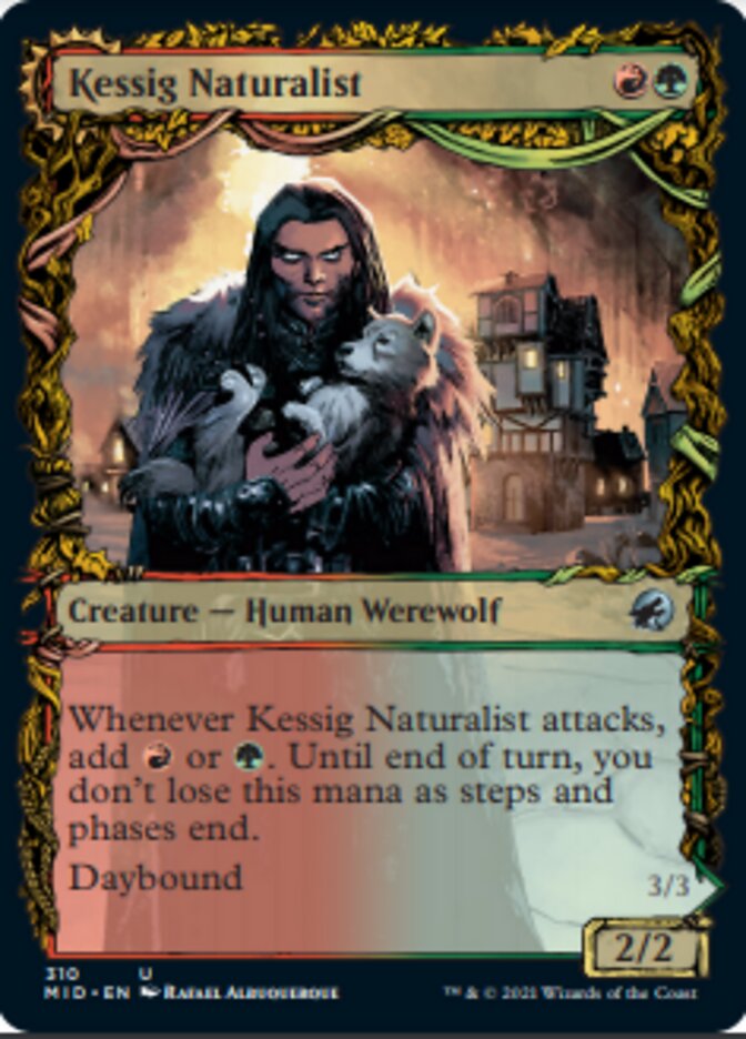 Kessig Naturalist // Lord of the Ulvenwald (Showcase Equinox) [Innistrad: Midnight Hunt] | GrognardGamesBatavia