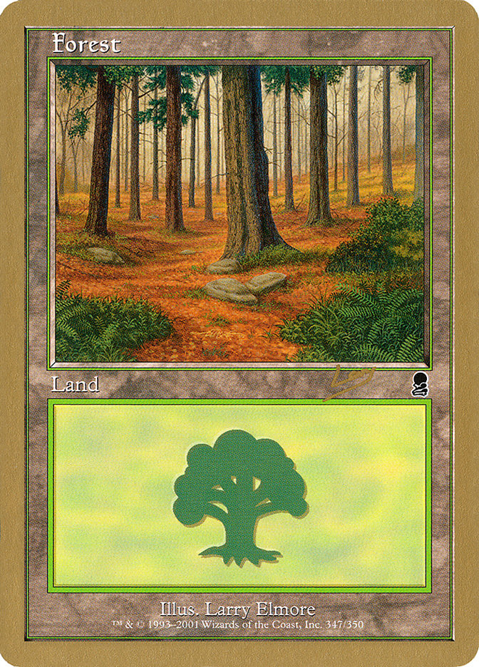 Forest (rl347) (Raphael Levy) [World Championship Decks 2002] | GrognardGamesBatavia