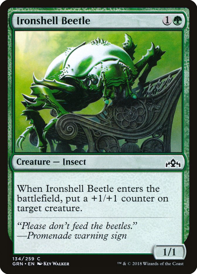 Ironshell Beetle [Guilds of Ravnica] | GrognardGamesBatavia