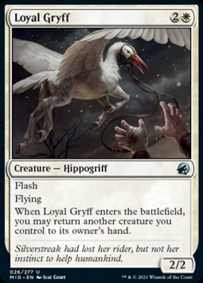 Loyal Gryff [Innistrad: Midnight Hunt] | GrognardGamesBatavia