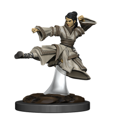 WizKids 930441 NMM Premium Female Human Monk | GrognardGamesBatavia