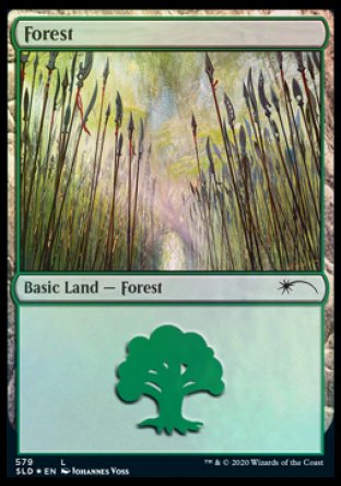 Forest (Elves) (579) [Secret Lair Drop Promos] | GrognardGamesBatavia