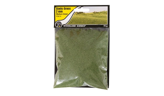 Woodland Scenics Static Grass 2mm Medium Green | GrognardGamesBatavia