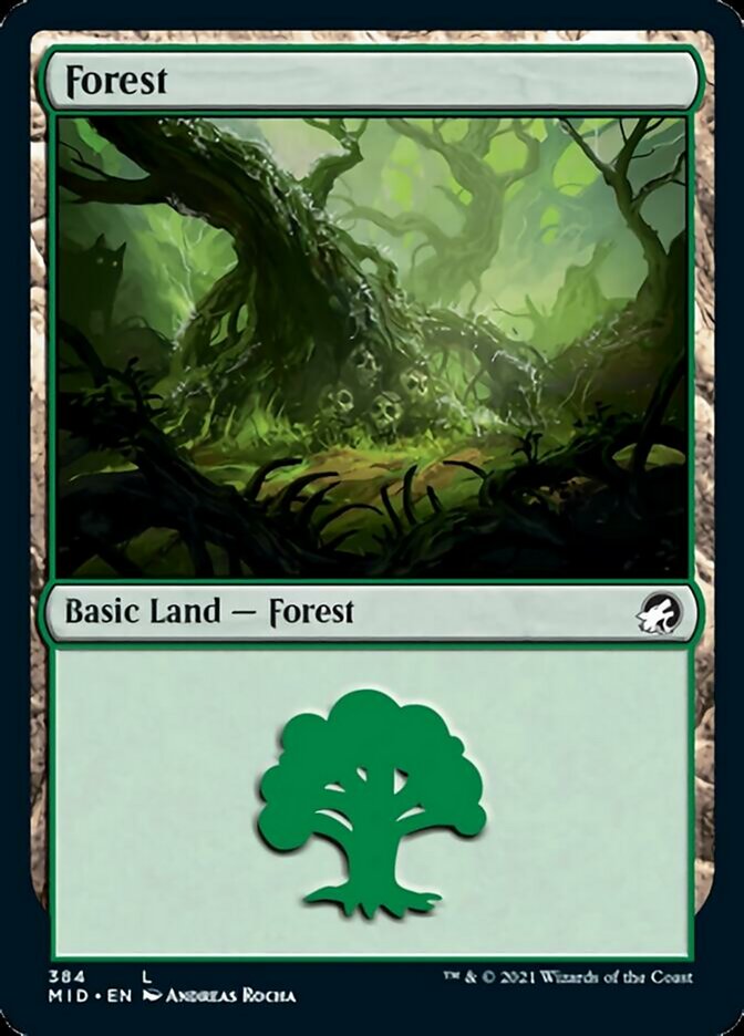 Forest (384) [Innistrad: Midnight Hunt] | GrognardGamesBatavia