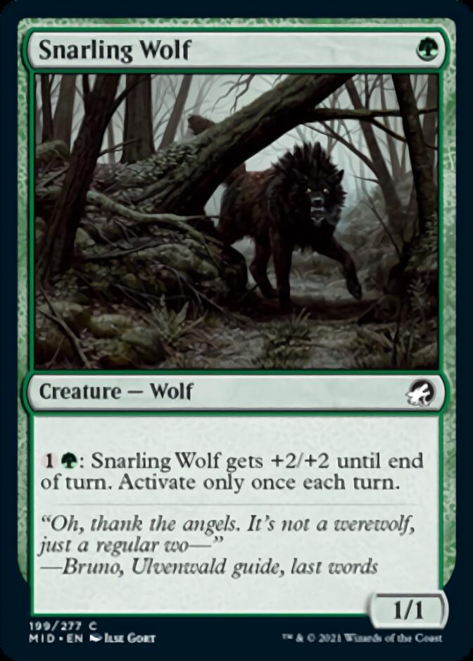 Snarling Wolf [Innistrad: Midnight Hunt] | GrognardGamesBatavia