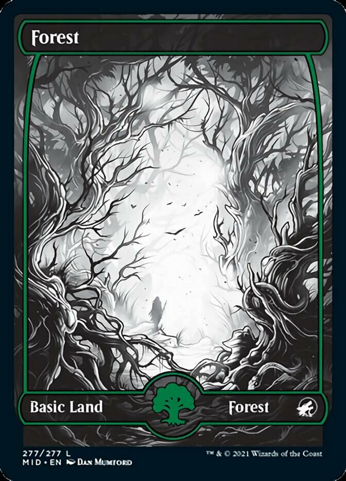 Forest (277) [Innistrad: Midnight Hunt] | GrognardGamesBatavia