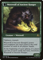 Sage of Ancient Lore // Werewolf of Ancient Hunger [Shadows over Innistrad] | GrognardGamesBatavia