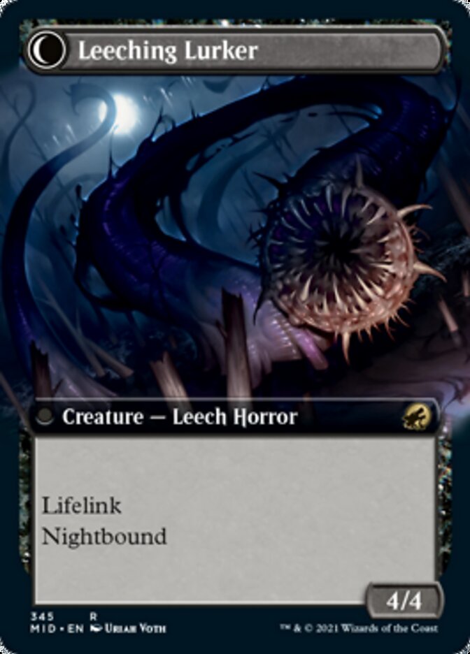 Curse of Leeches // Leeching Lurker (Extended Art) [Innistrad: Midnight Hunt] | GrognardGamesBatavia